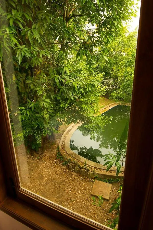 Mango Hill Inn Yangon