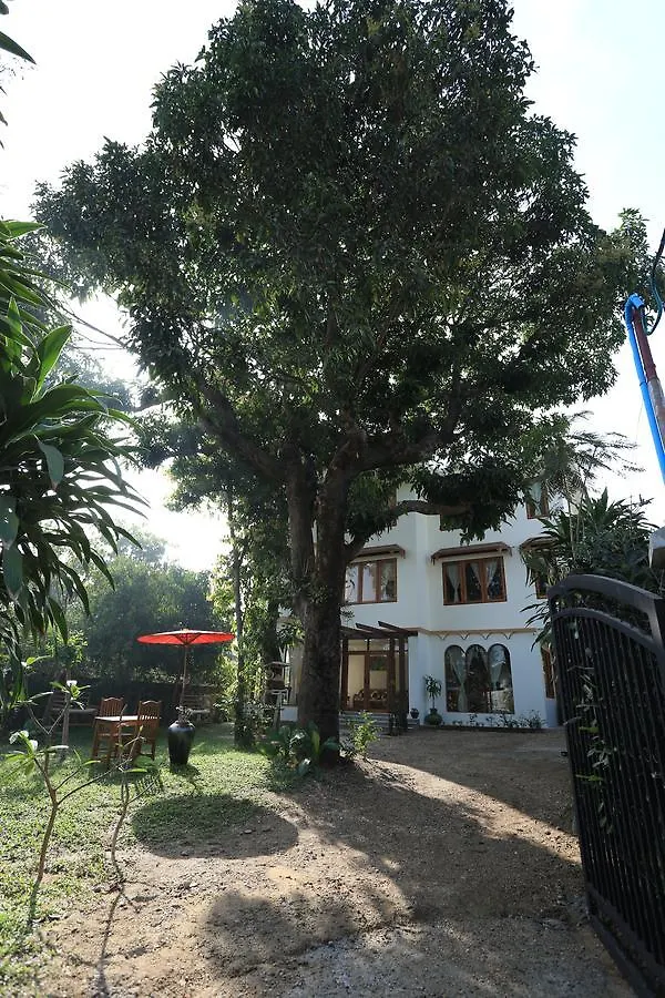 Mango Hill Inn Tadagyi